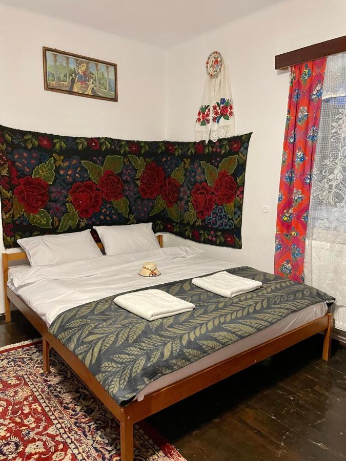 Casa Fantana - La Poalele Muntilor -50 De Metri De Partia Olimpica Villa Statjunea Borsa Ngoại thất bức ảnh