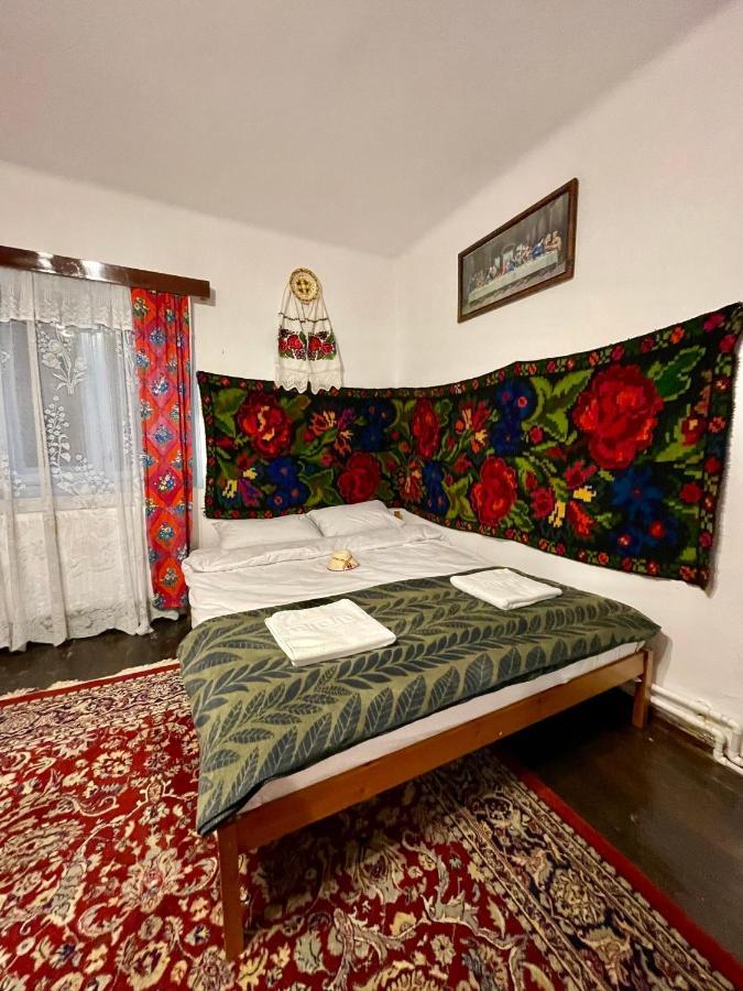 Casa Fantana - La Poalele Muntilor -50 De Metri De Partia Olimpica Villa Statjunea Borsa Ngoại thất bức ảnh