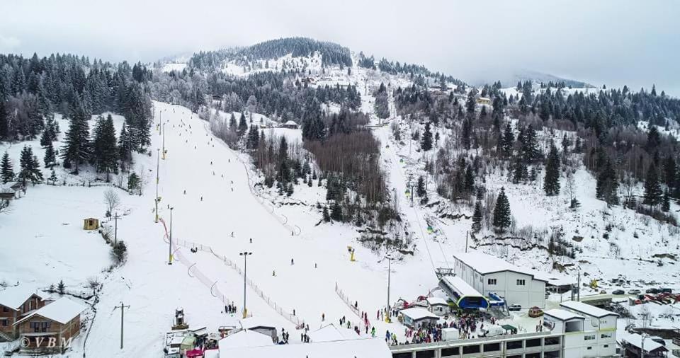 Casa Fantana - La Poalele Muntilor -50 De Metri De Partia Olimpica Villa Statjunea Borsa Ngoại thất bức ảnh